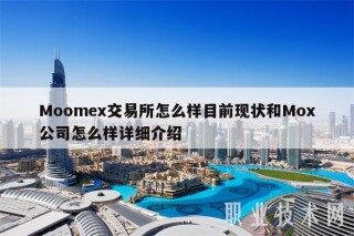 Moom交易平台怎么样目前现状和Mo公司怎么样详细介绍