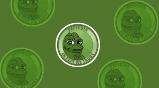 币圈新闻：对 PP 币交易监管的担忧导致市场下跌