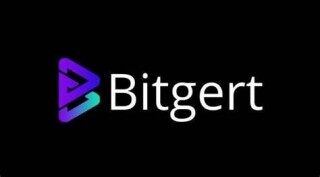 什么是Bitgrt(BRIS)币